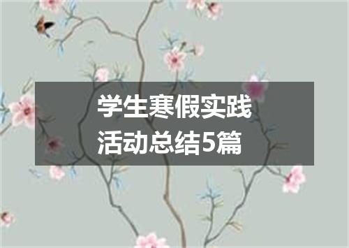 学生寒假实践活动总结5篇