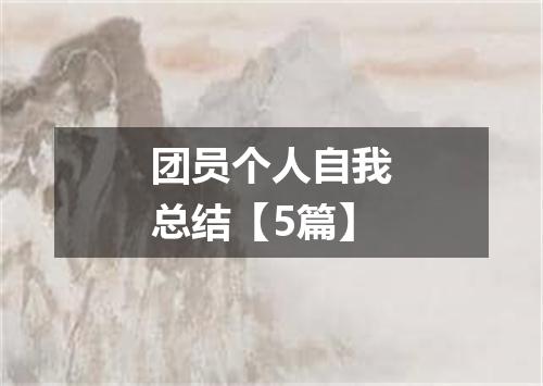 团员个人自我总结【5篇】