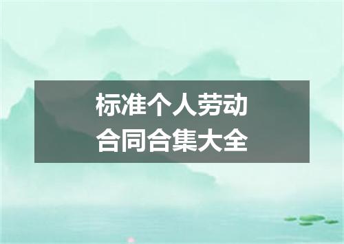 标准个人劳动合同合集大全