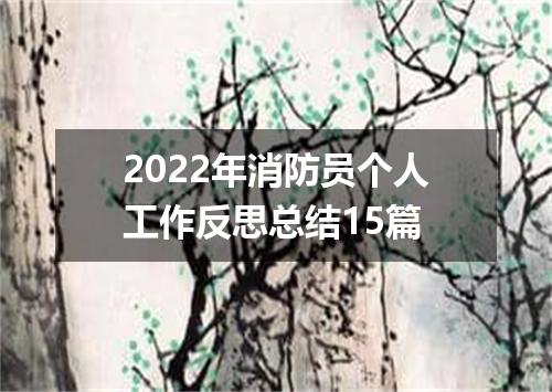 2022年消防员个人工作反思总结15篇