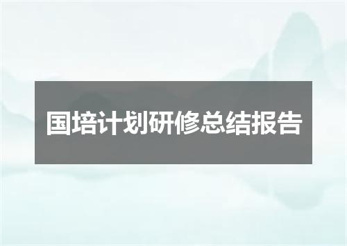 国培计划研修总结报告