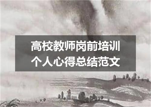 高校教师岗前培训个人心得总结范文
