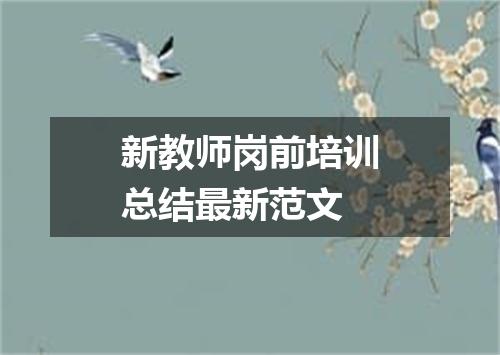 新教师岗前培训总结最新范文