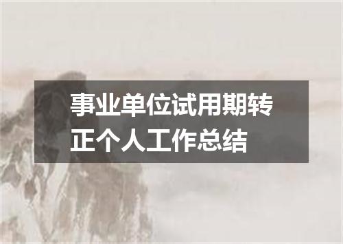 事业单位试用期转正个人工作总结