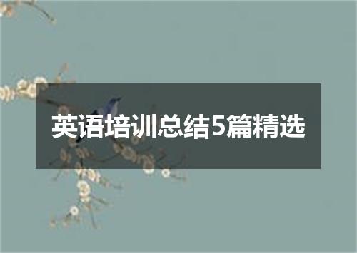 英语培训总结5篇精选