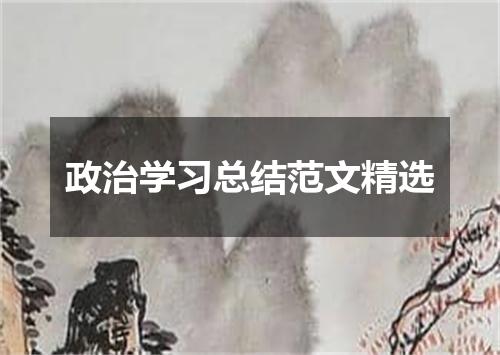 政治学习总结范文精选
