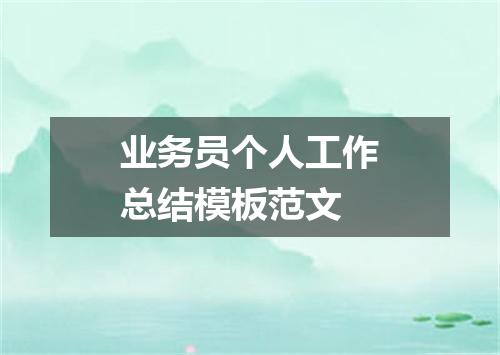业务员个人工作总结模板范文