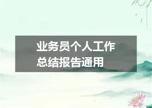 业务员个人工作总结报告通用