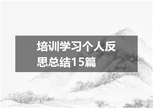 培训学习个人反思总结15篇