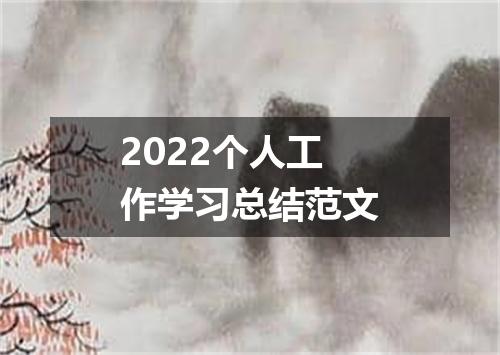 2022个人工作学习总结范文
