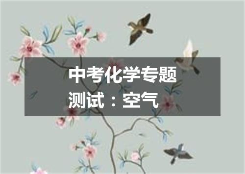 中考化学专题测试：空气