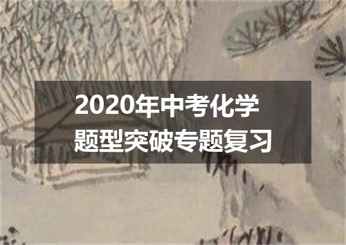2020年中考化学题型突破专题复习