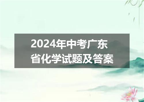 2024年中考广东省化学试题及答案