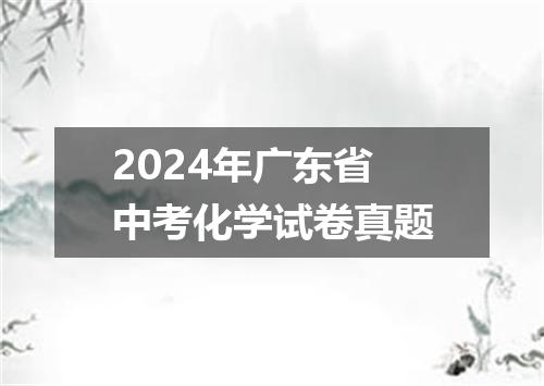 2024年广东省中考化学试卷真题