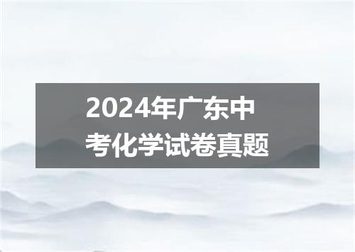 2024年广东中考化学试卷真题