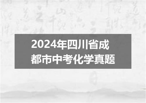 2024年四川省成都市中考化学真题