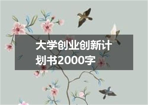 大学创业创新计划书2000字