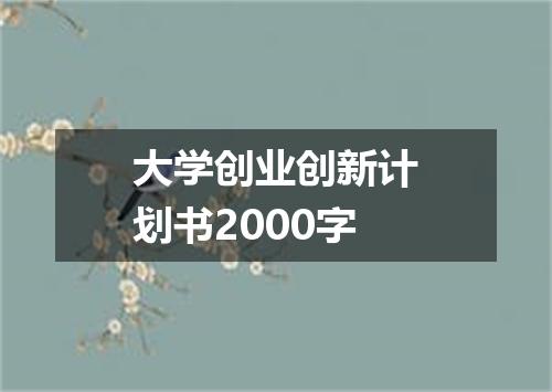大学创业创新计划书2000字