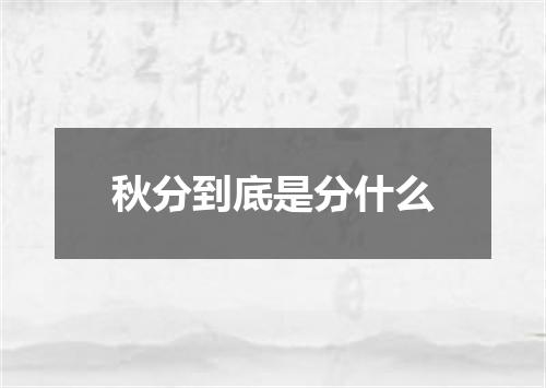 秋分到底是分什么
