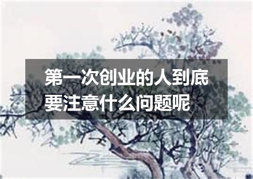 第一次创业的人到底要注意什么问题呢
