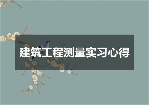 建筑工程测量实习心得