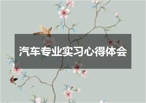 汽车专业实习心得体会