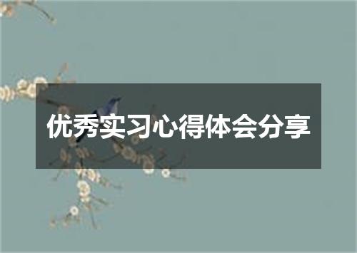 优秀实习心得体会分享