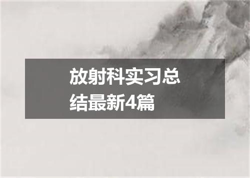 放射科实习总结最新4篇