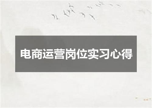 电商运营岗位实习心得