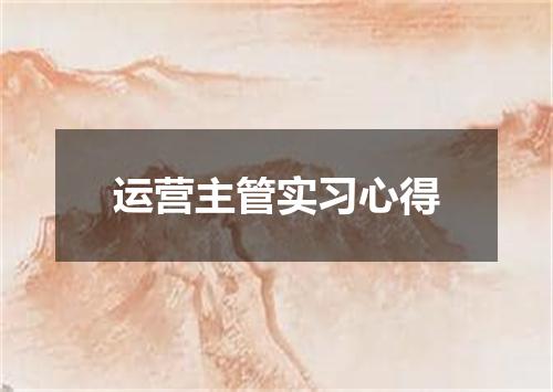 运营主管实习心得