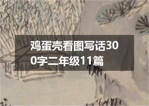 鸡蛋壳看图写话300字二年级11篇