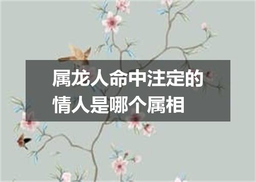 属龙人命中注定的情人是哪个属相