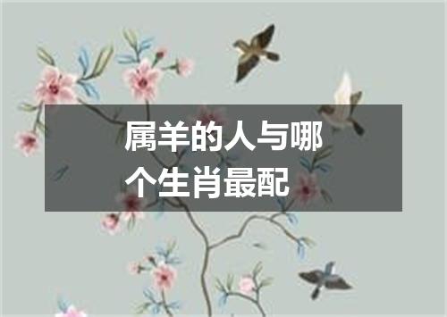 属羊的人与哪个生肖最配