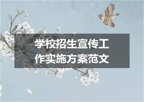 学校招生宣传工作实施方案范文