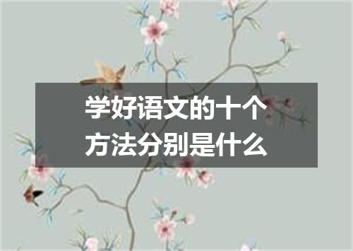 学好语文的十个方法分别是什么