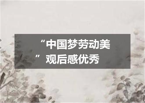 “中国梦劳动美”观后感优秀