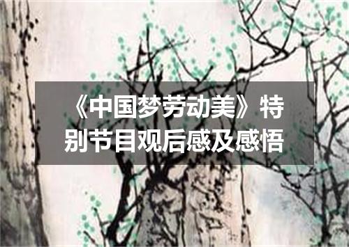 《中国梦劳动美》特别节目观后感及感悟