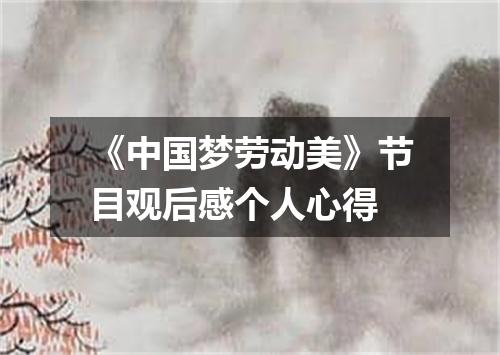 《中国梦劳动美》节目观后感个人心得