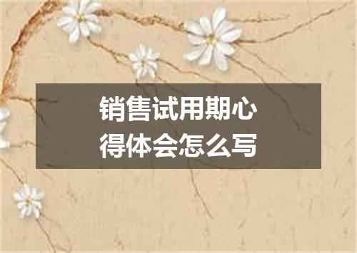 销售试用期心得体会怎么写
