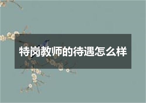 特岗教师的待遇怎么样