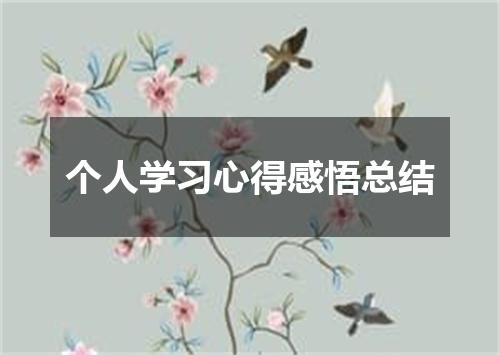 个人学习心得感悟总结