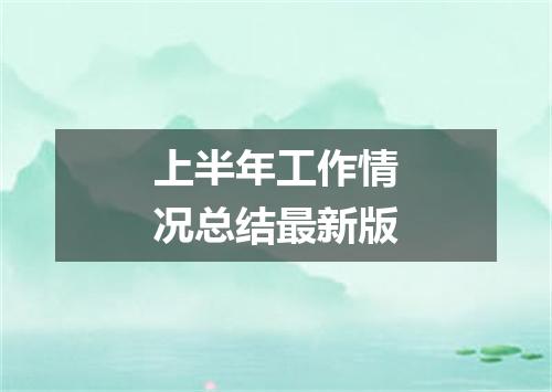 上半年工作情况总结最新版