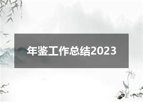 年鉴工作总结2023
