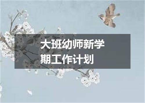 大班幼师新学期工作计划