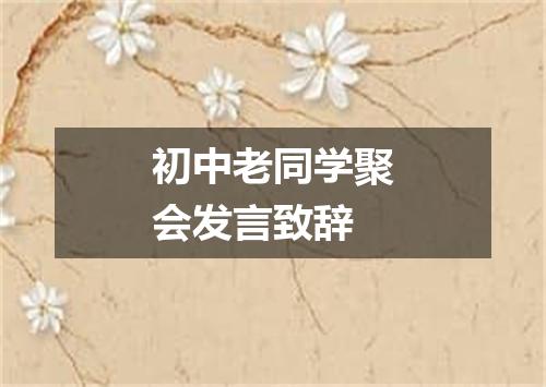 初中老同学聚会发言致辞