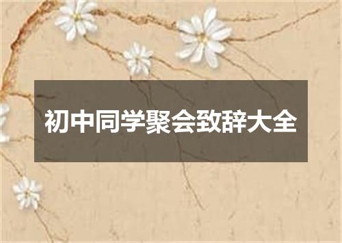 初中同学聚会致辞大全