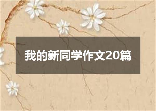 我的新同学作文20篇