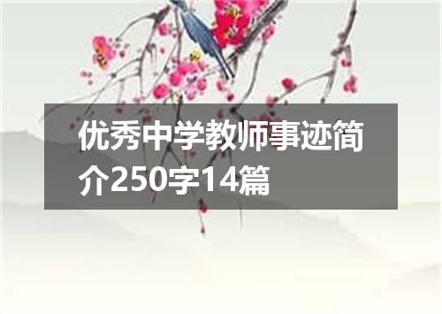 优秀中学教师事迹简介250字14篇