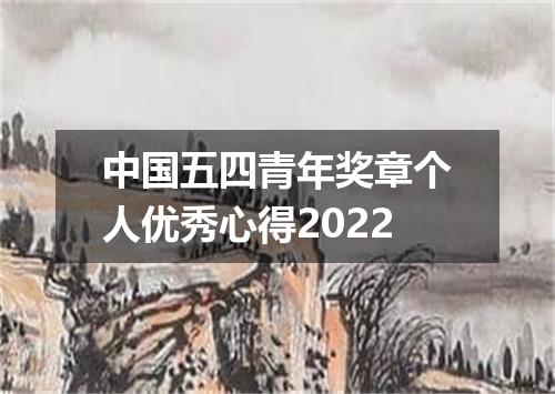 中国五四青年奖章个人优秀心得2022