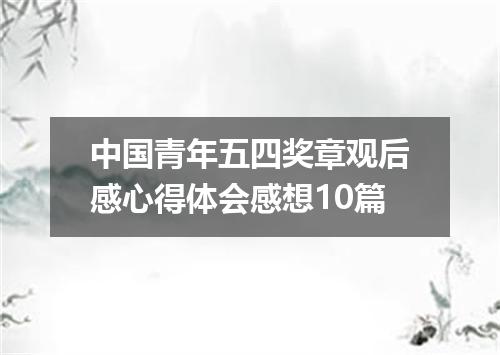 中国青年五四奖章观后感心得体会感想10篇